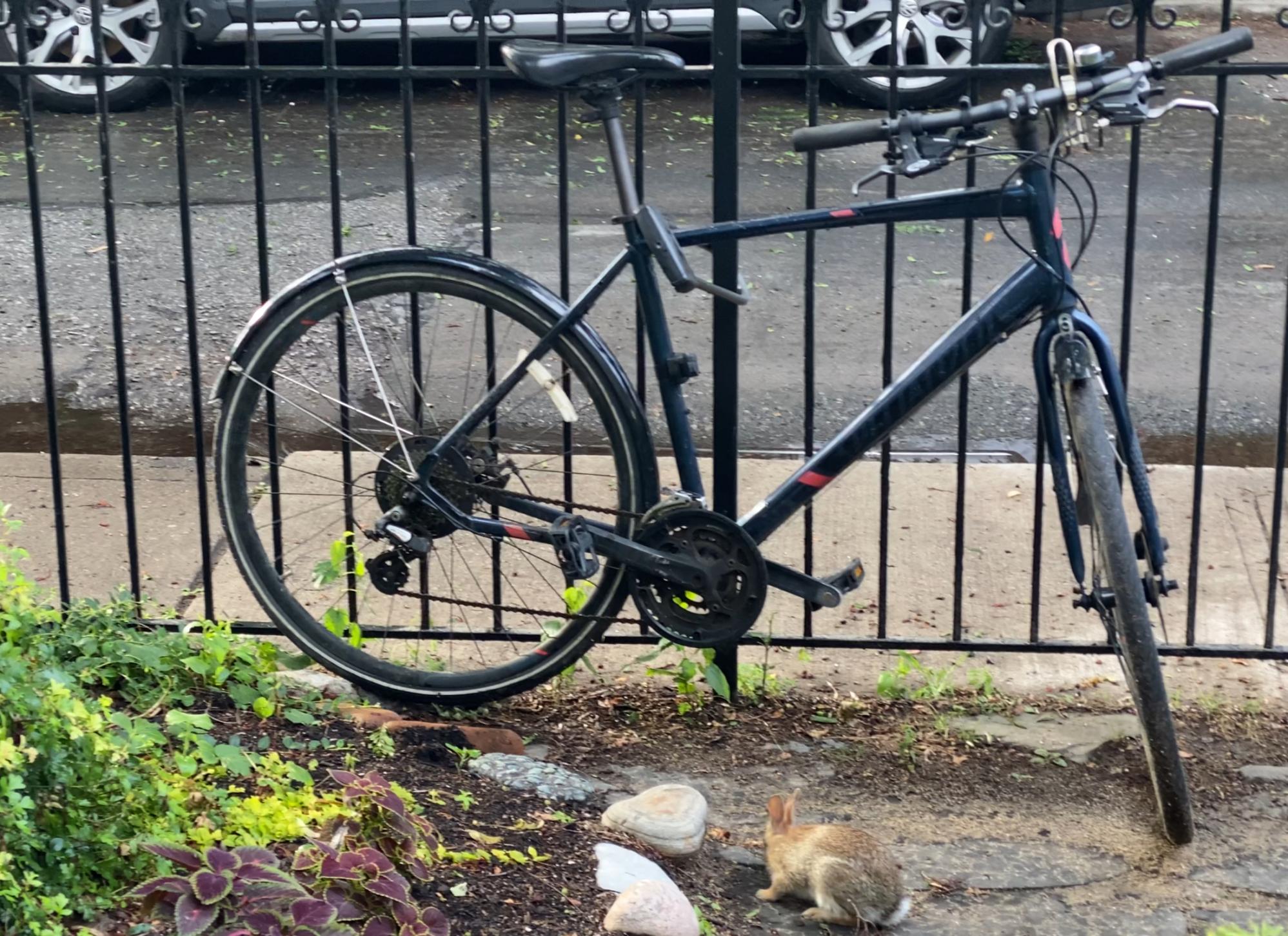 Specialized Sirrus A1 Blue