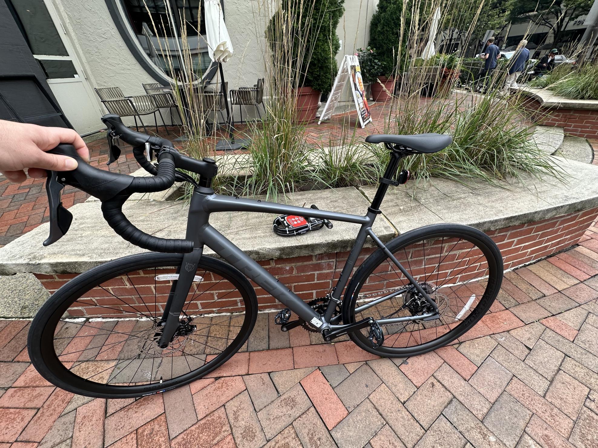 2024 Trek Domane AL2 Gen 4 Silver, gray or bare metal