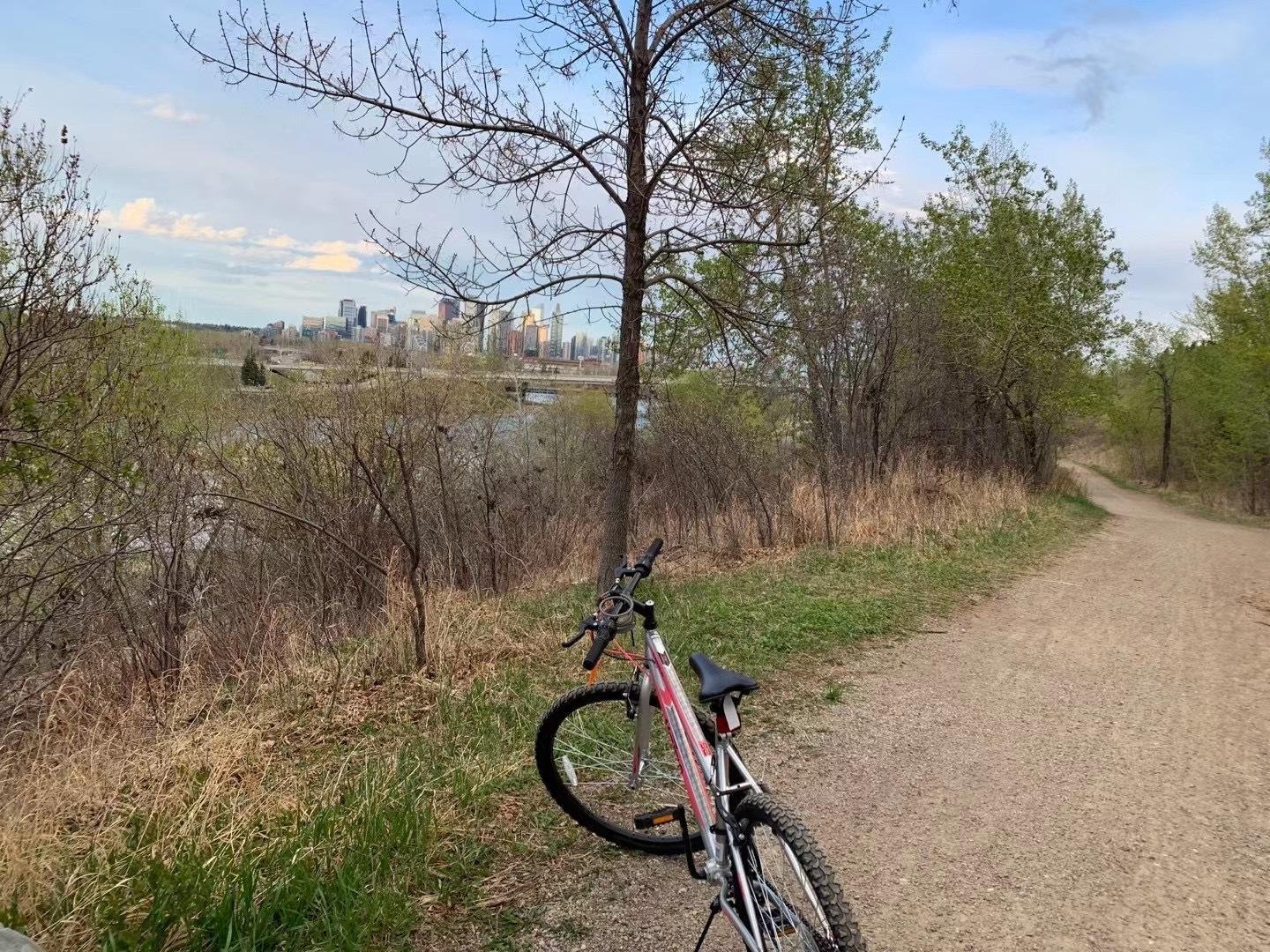 2022 movelo 56210C Pink