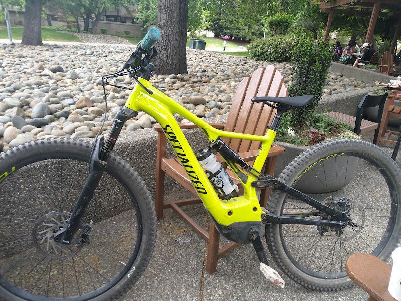 2019 Specialized Levo Green