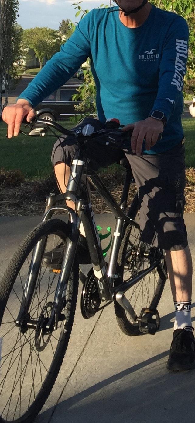 2018 Trek Trek Dual Sport 2 Silver, gray or bare metal