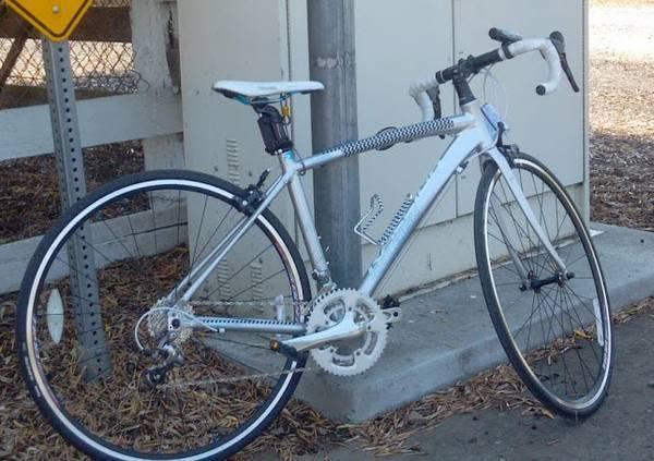 2011 Raleigh Capri 3.0  Silver or Gray