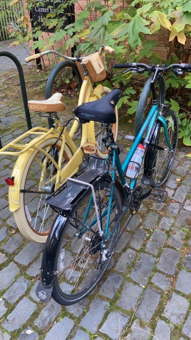 1994 Specialized Rockhopper Blue