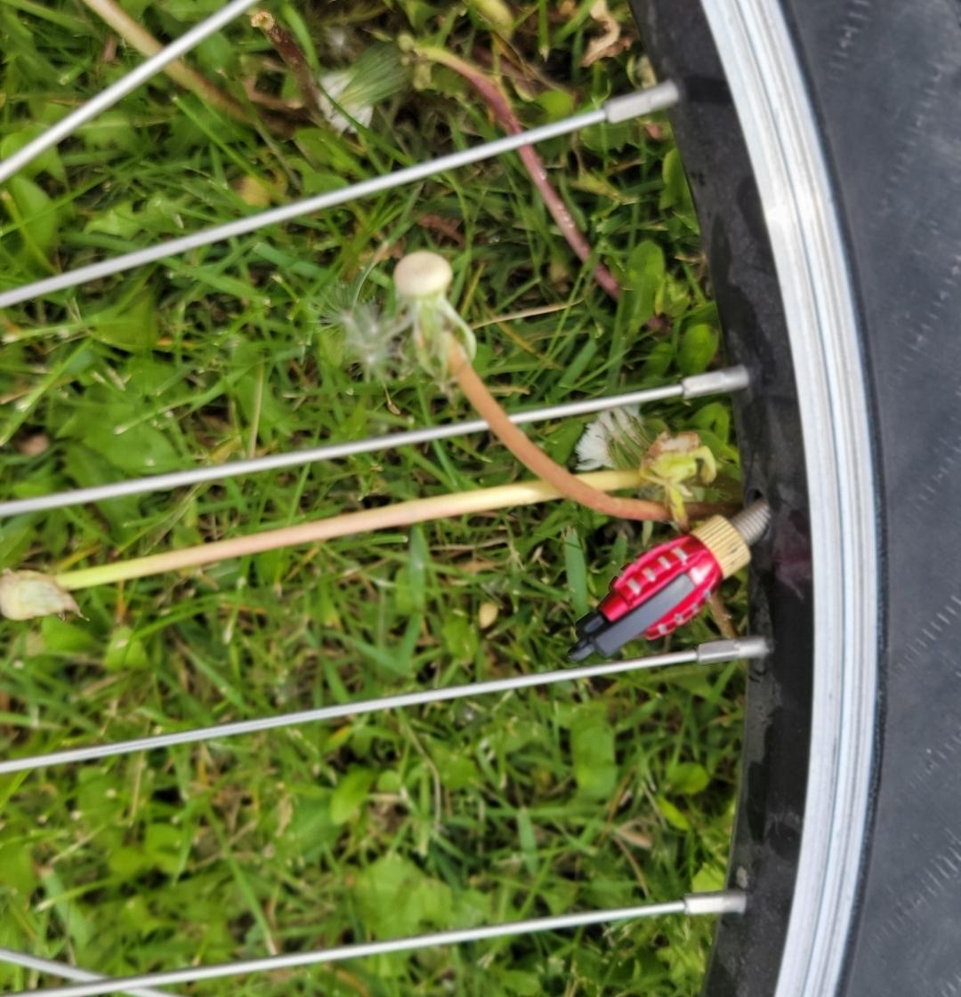 GT Bicycles Red with white GT symbol Red