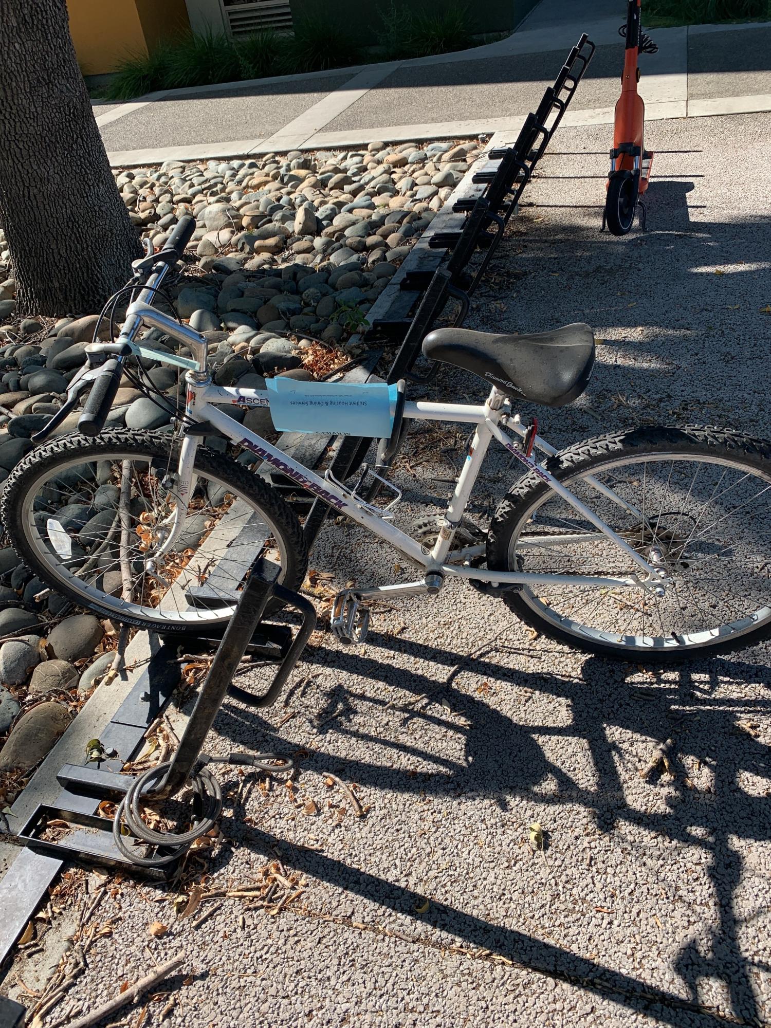 Diamondback ascent White