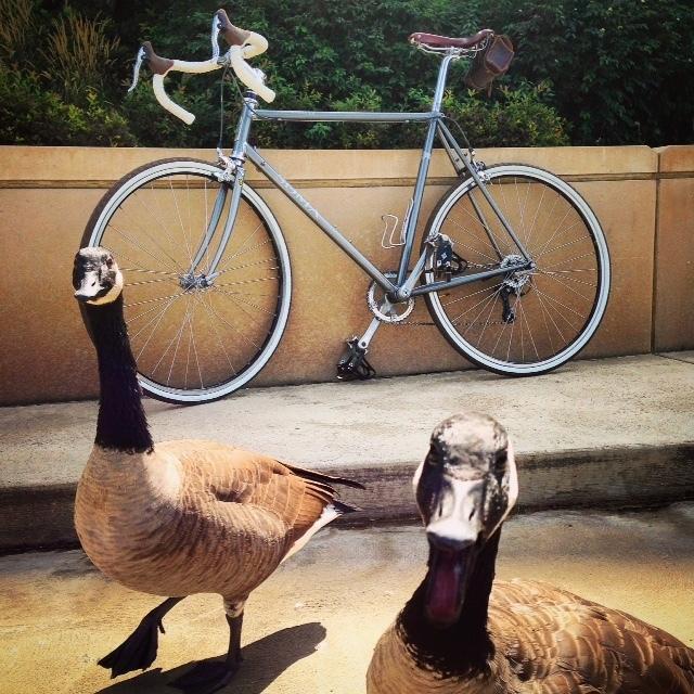 2013 Soma Stanyan Silver or Gray