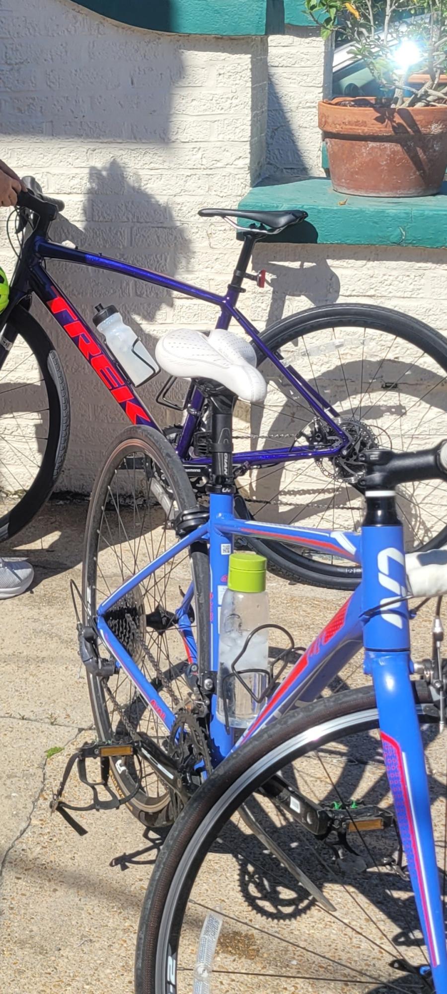 2023 Trek Purple