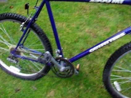 1999 mt outfitter Purple and Blue