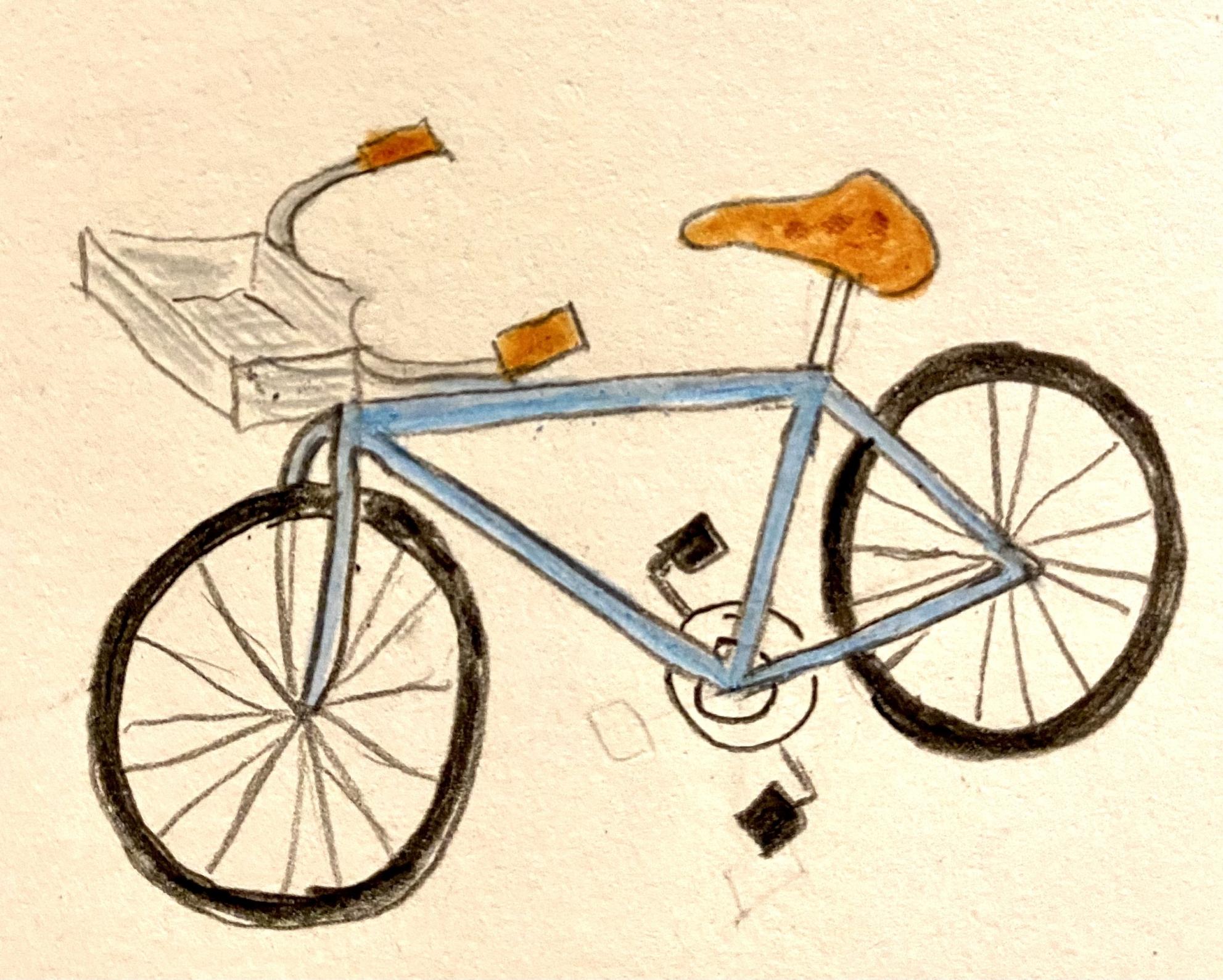 Univega Unknown Blue