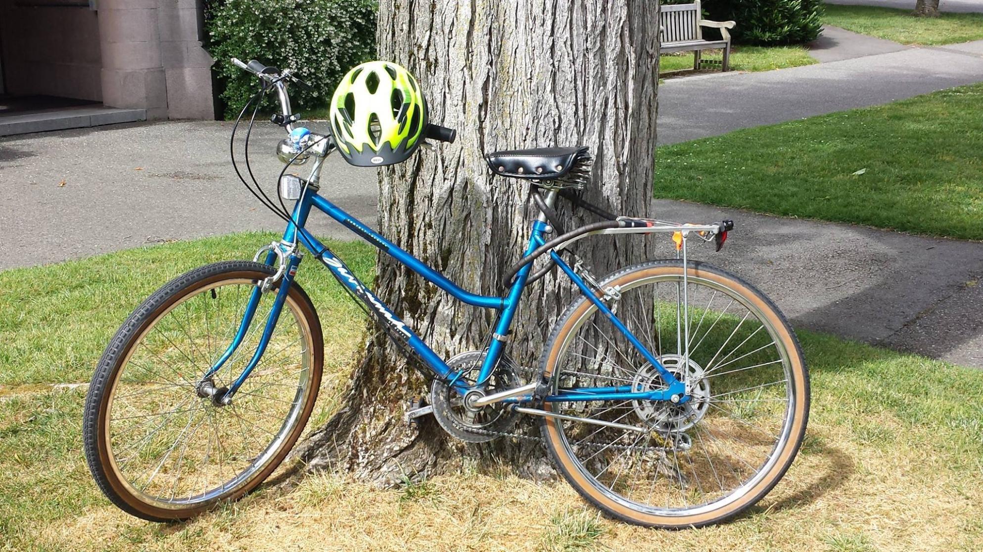 Huffy Savannah Blue