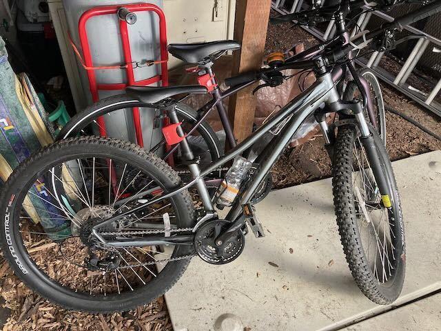 2019 Specialized Pitch Silver, gray or bare metal