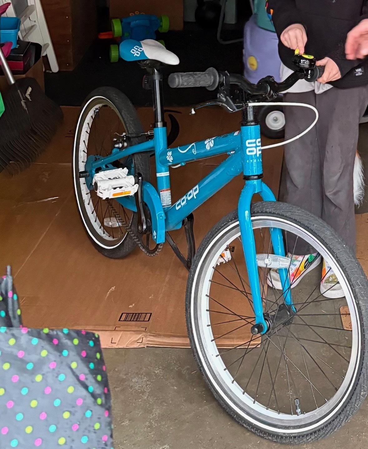 2020 REI Co-op Rev 20 Teal