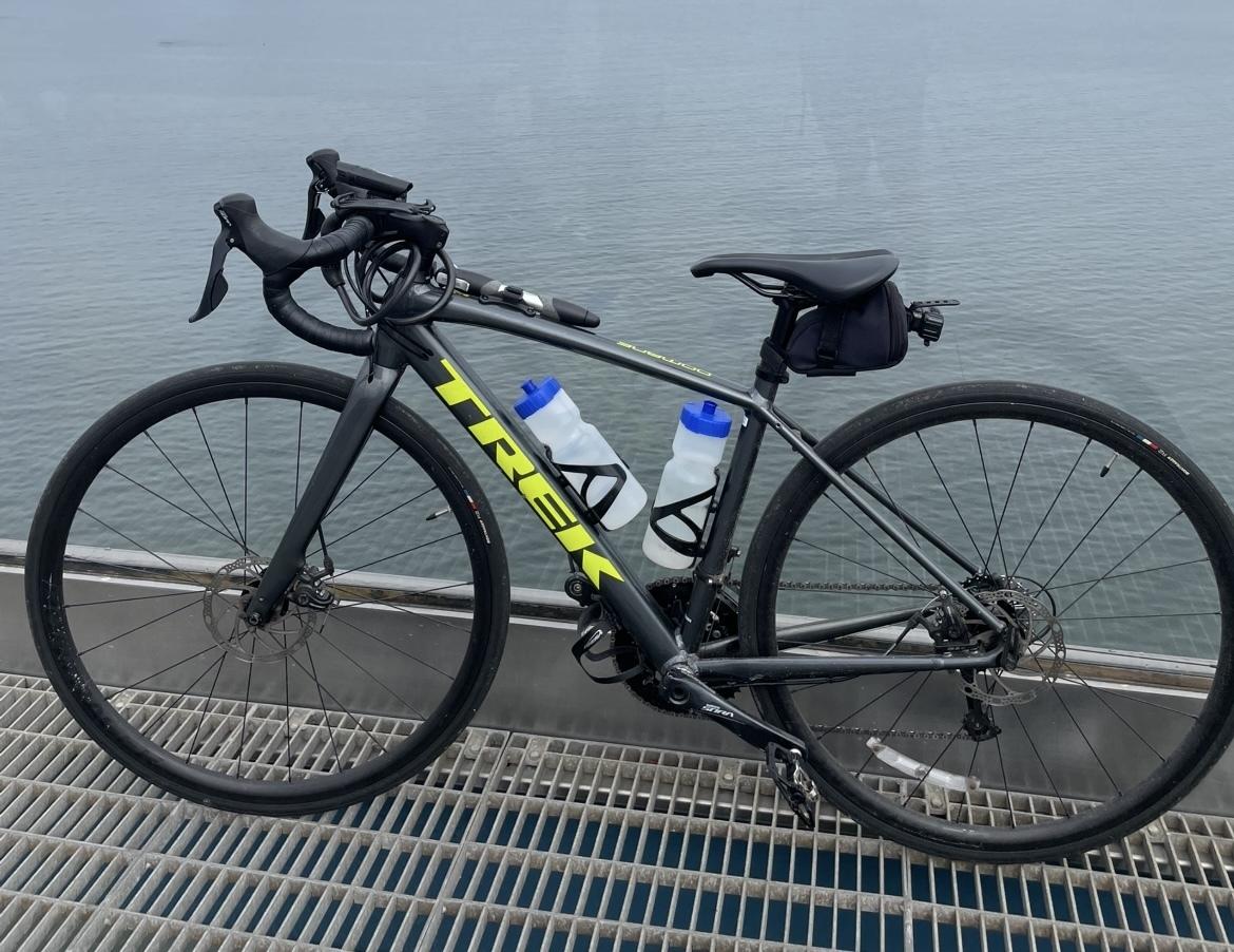 2020 Trek Domane AL 3 Black and Yellow or Gold