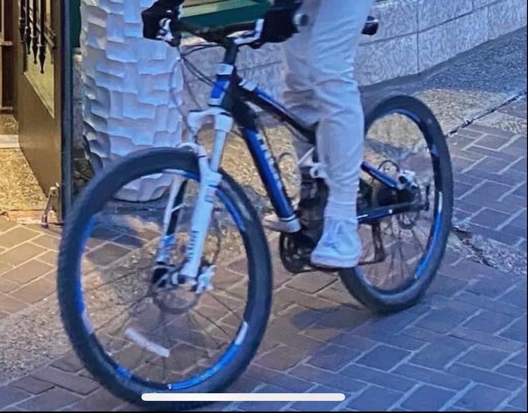 Trek Black, Blue, and White