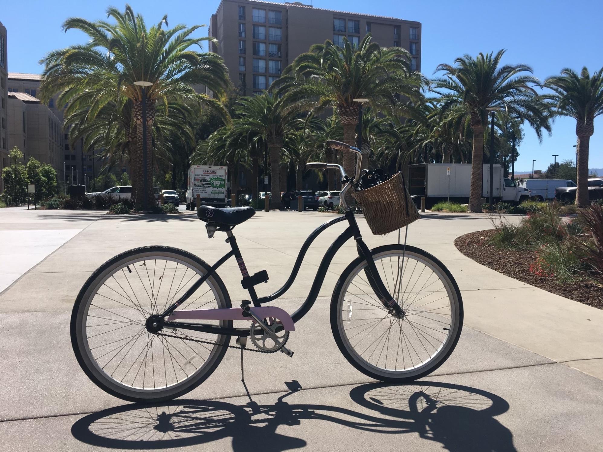 2018 Schwinn cruiser Black