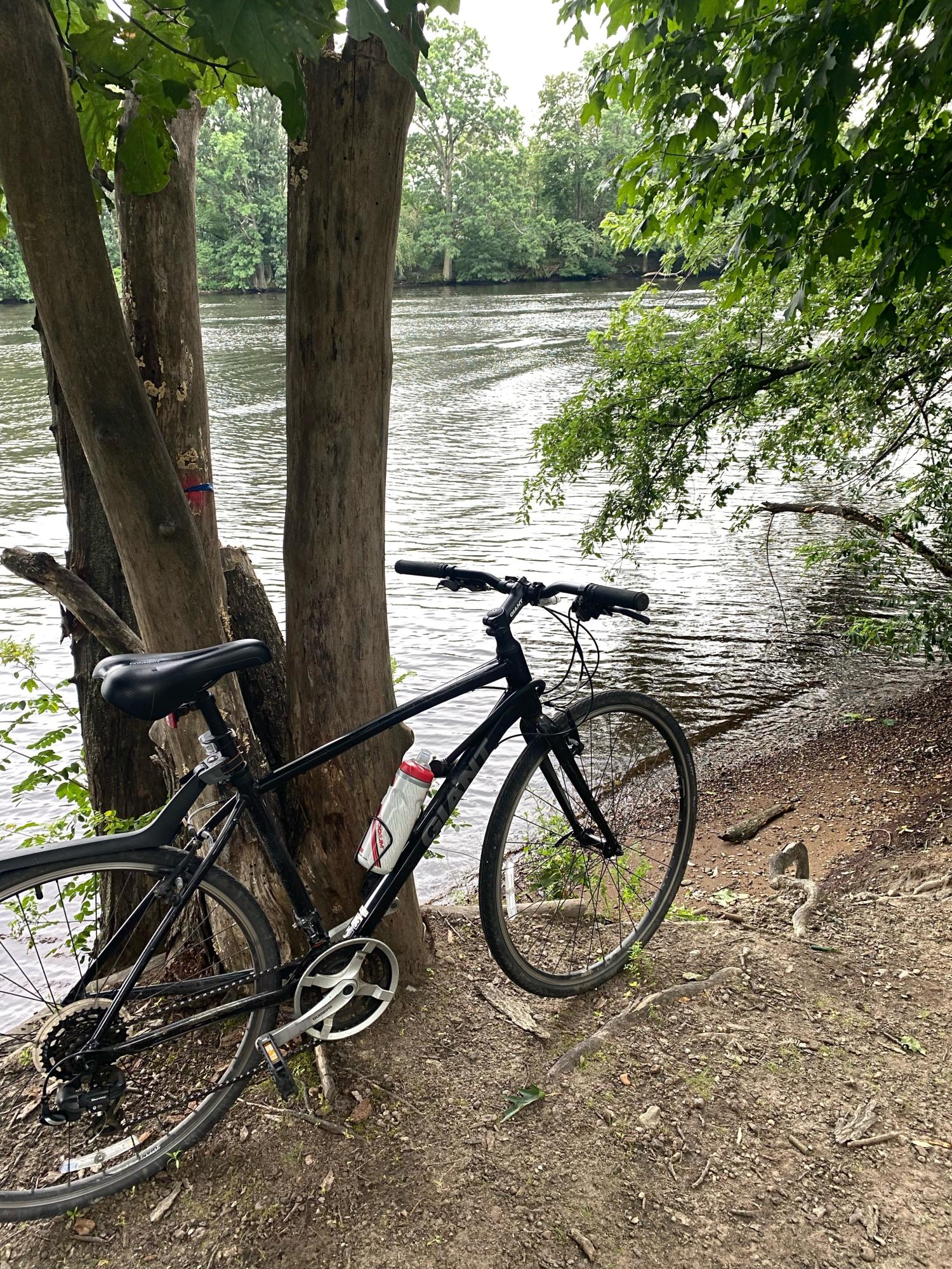 2017 Giant Escape Black