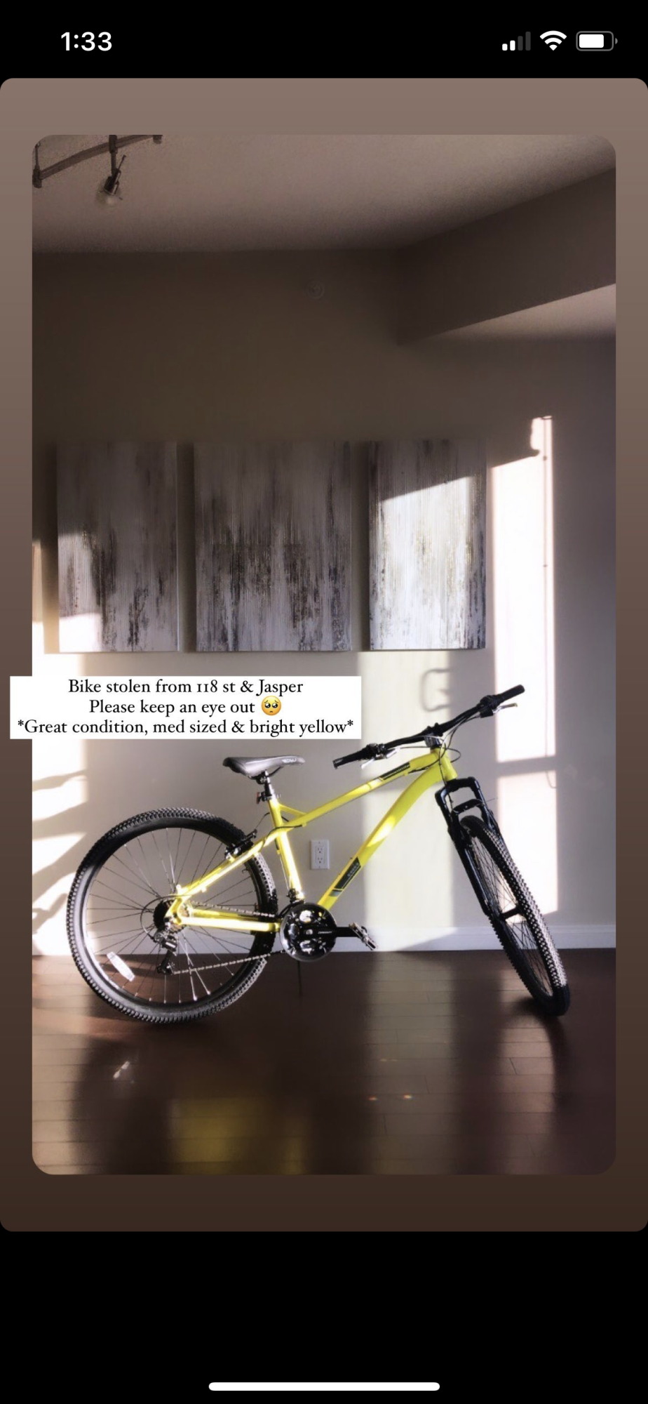 2020 Diadora Novara 6506 Yellow or Gold