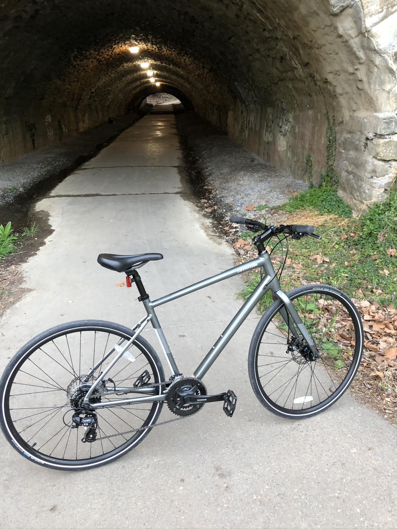 2020 Cannondale Silver, gray or bare metal