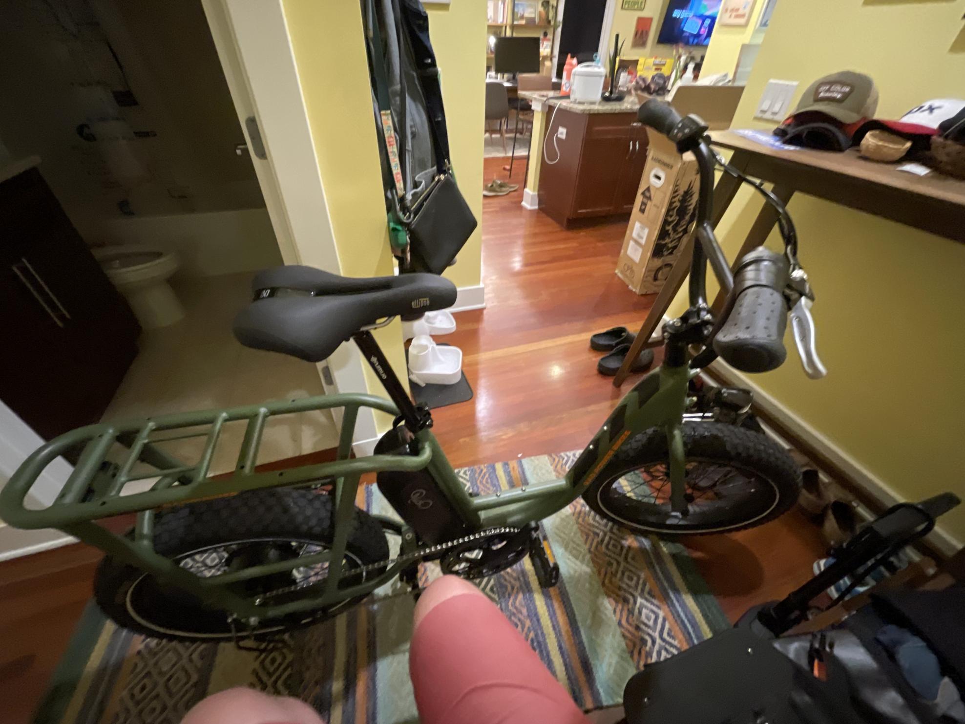 2021 Rad Power Bikes Rad runner 2 Green