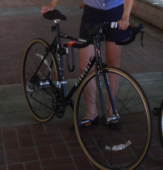 2013 Bianchi Campione S3  Black