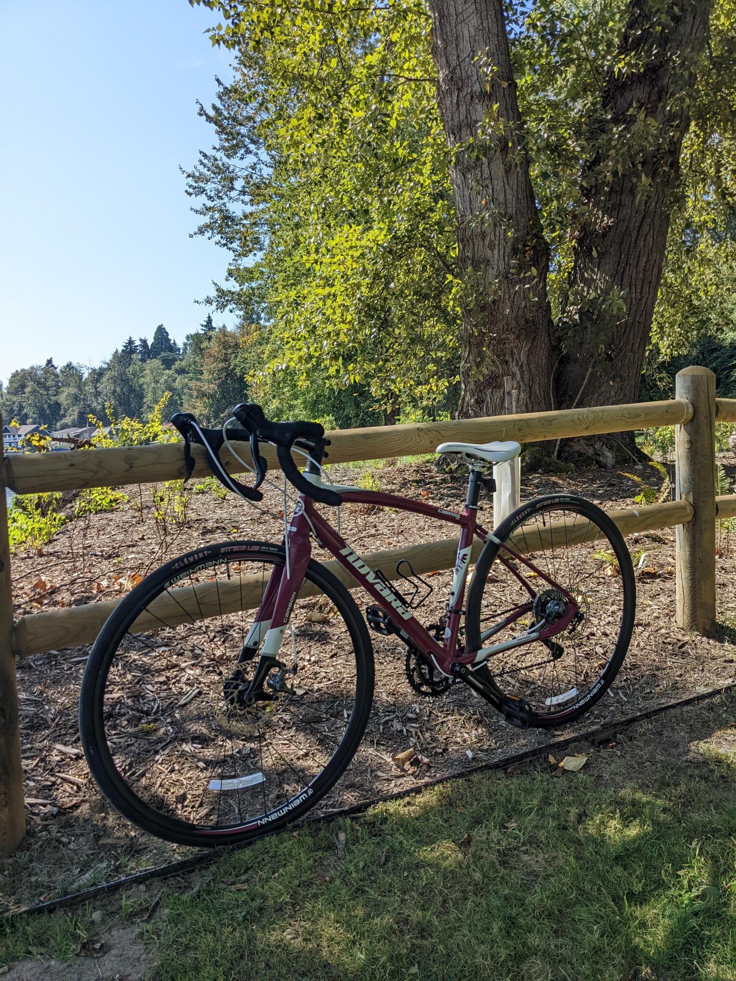 2016 Novara Carema 3D - S Purple and White