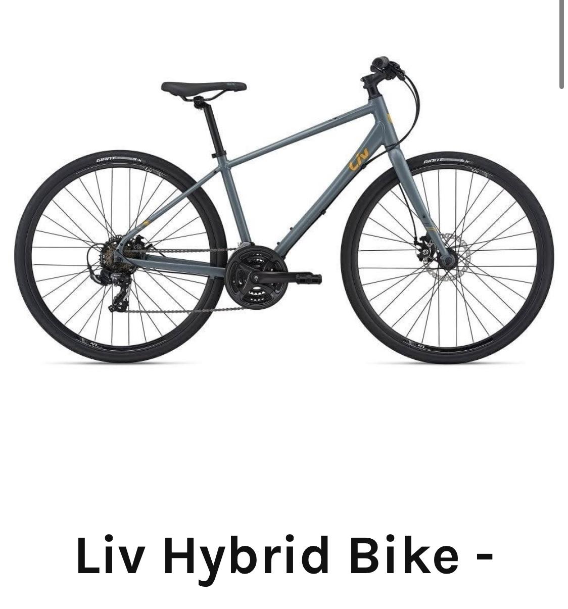 2021 Liv Alight Silver, gray or bare metal and Yellow or Gold