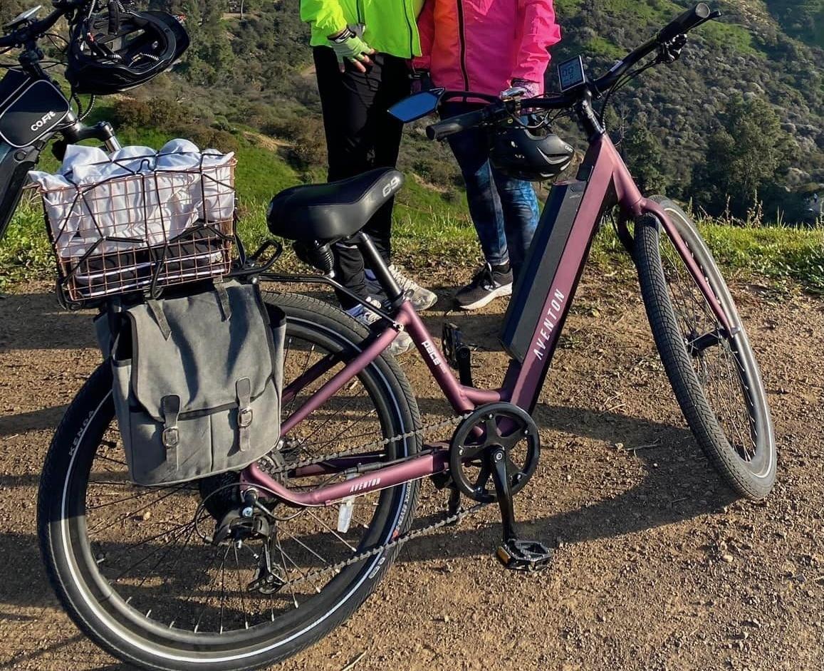 2021 Aventón Pace 350 - size Small Purple