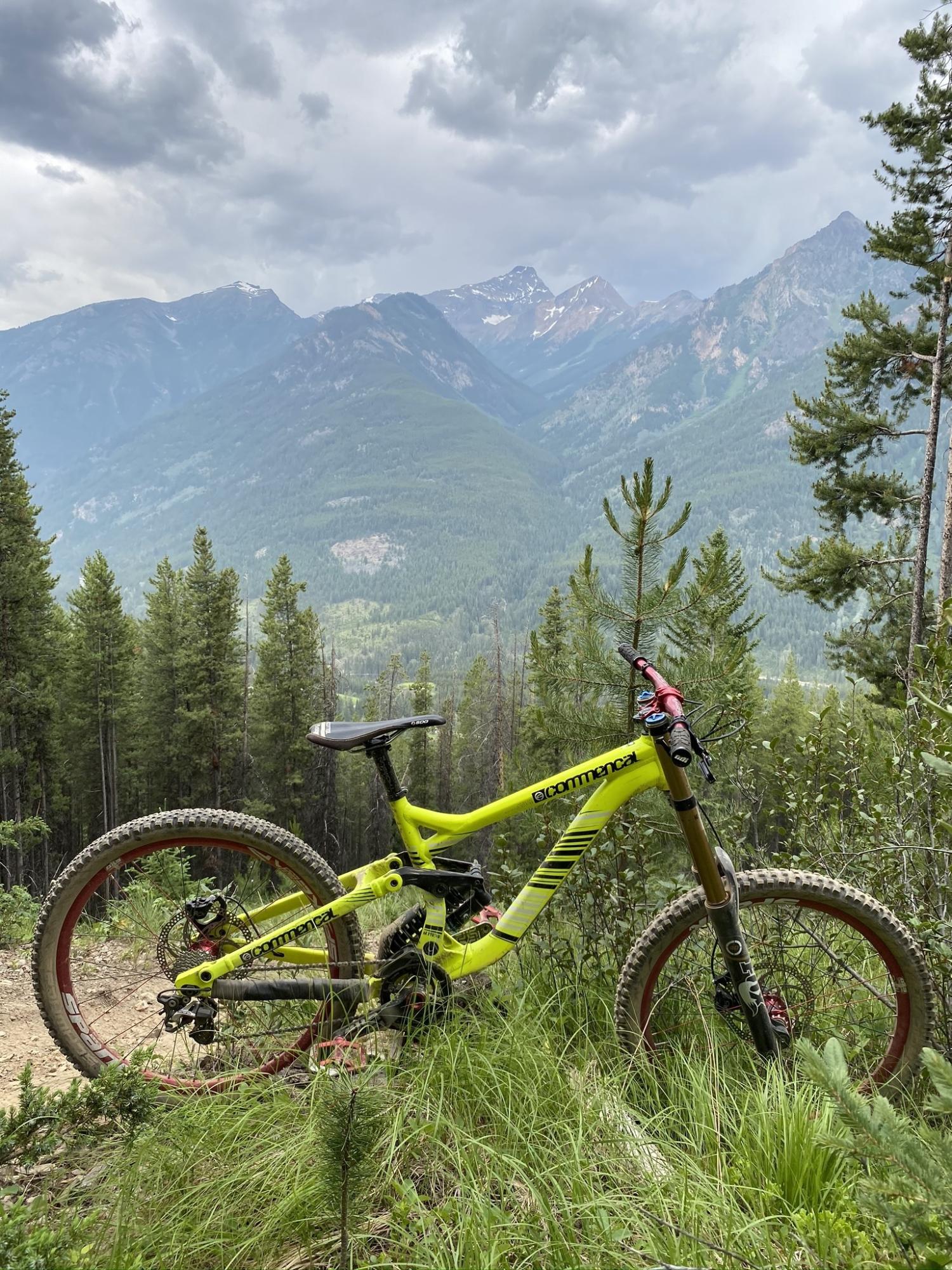 2013 Commencal Bikes Supreme DH Yellow or Gold