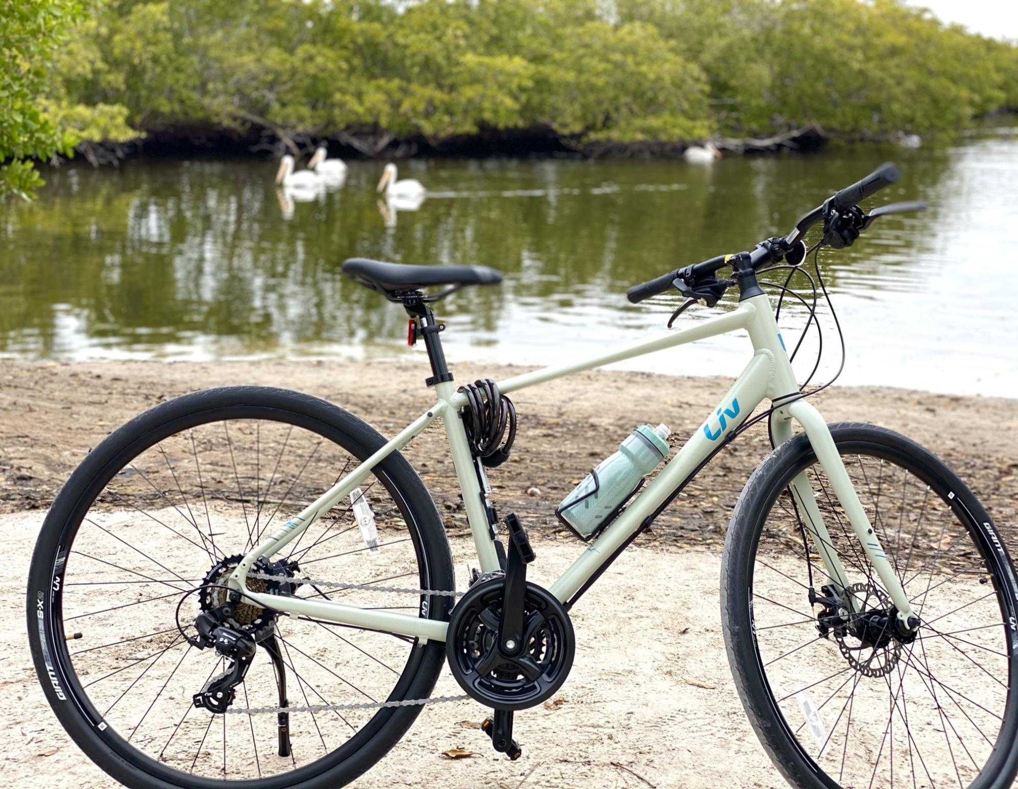 2021 Giant Alight Green