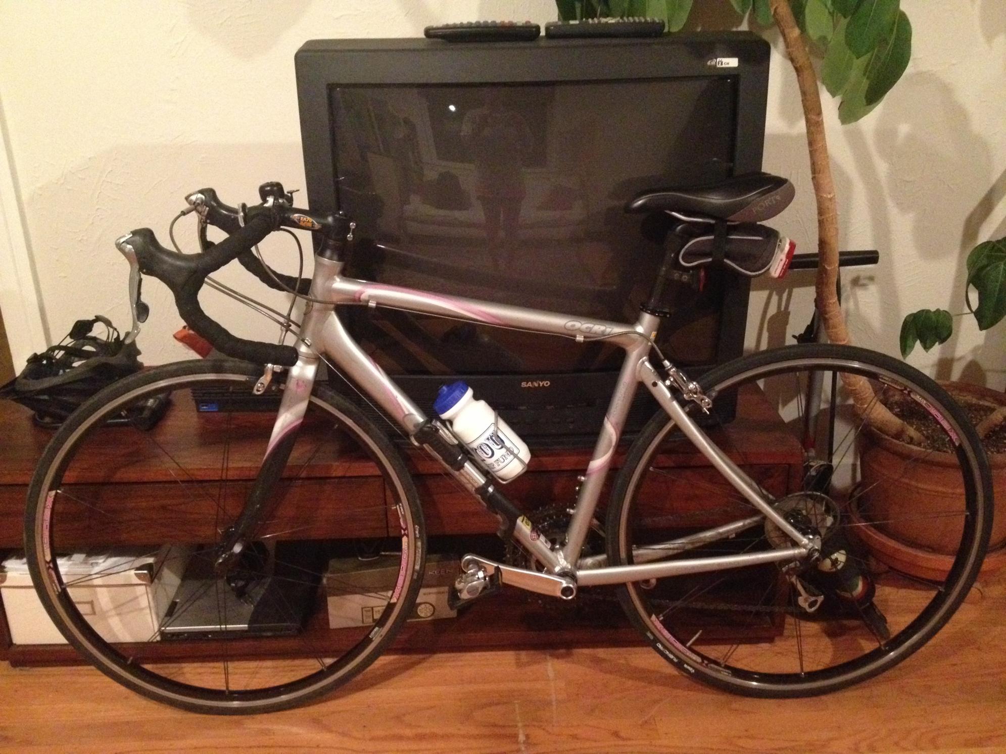 2004 Giant OCR1 Silver or Gray and Pink