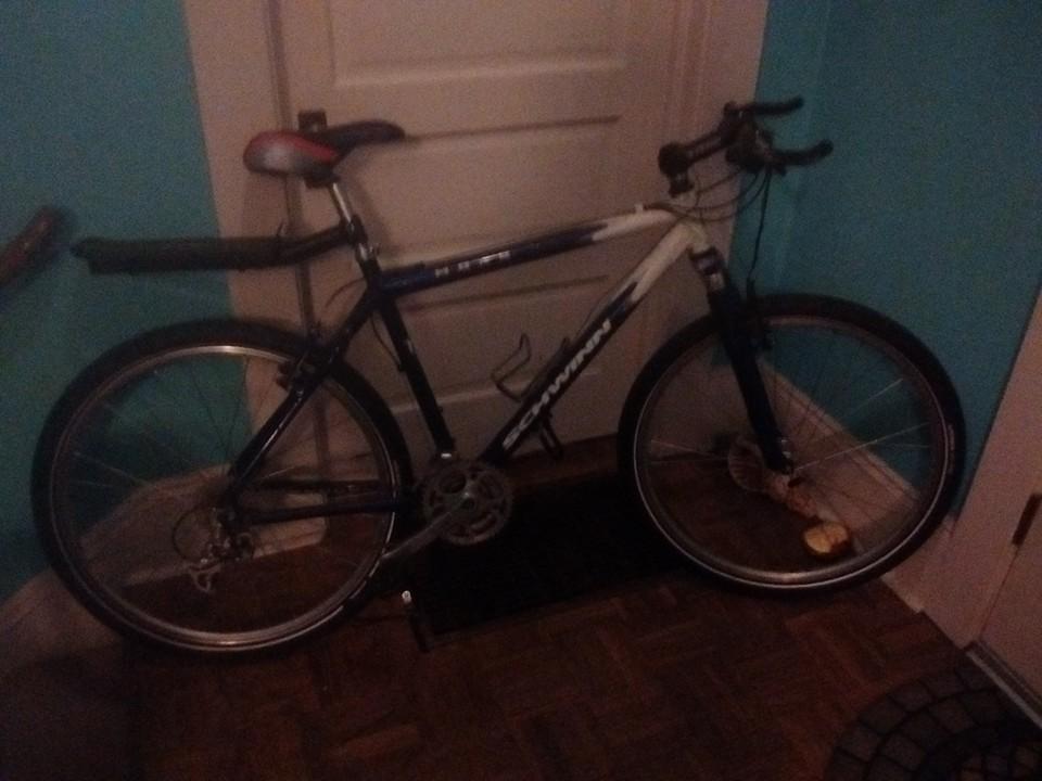 Schwinn Moab Blue and White