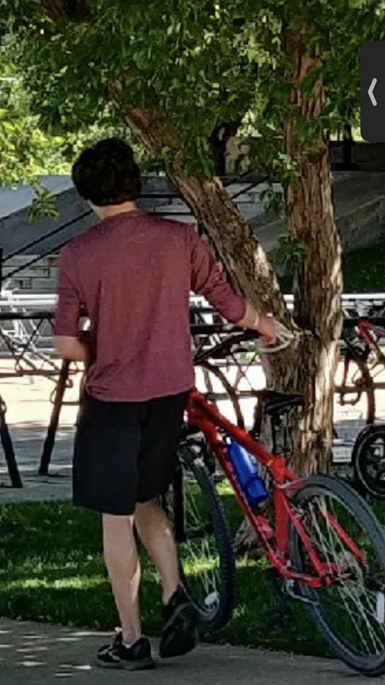 2015 Specialized Hardrock 26 Red