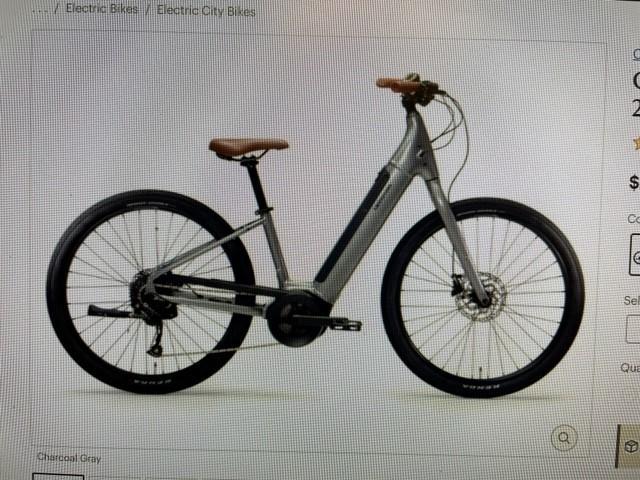 2021 Cannondale Adventure Neo 4 Bike Silver, gray or bare metal