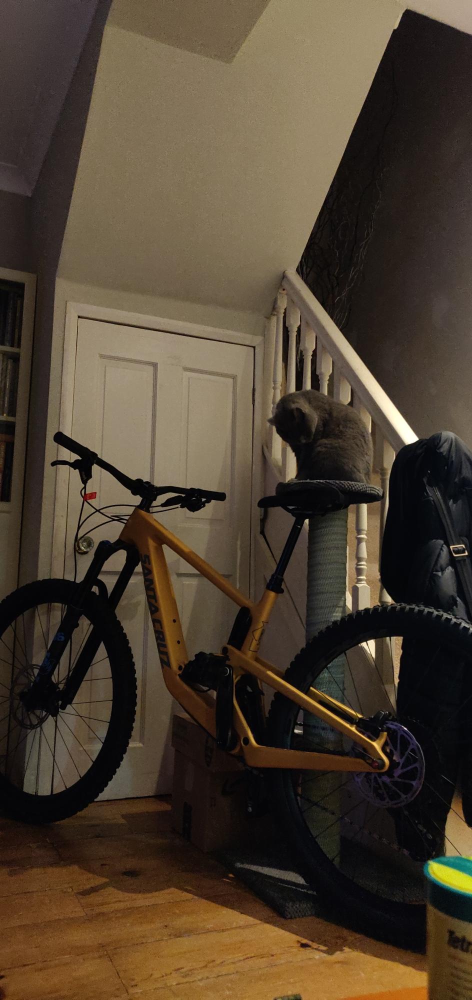 2022 Santa Cruz Bronson CC size Small Yellow or Gold