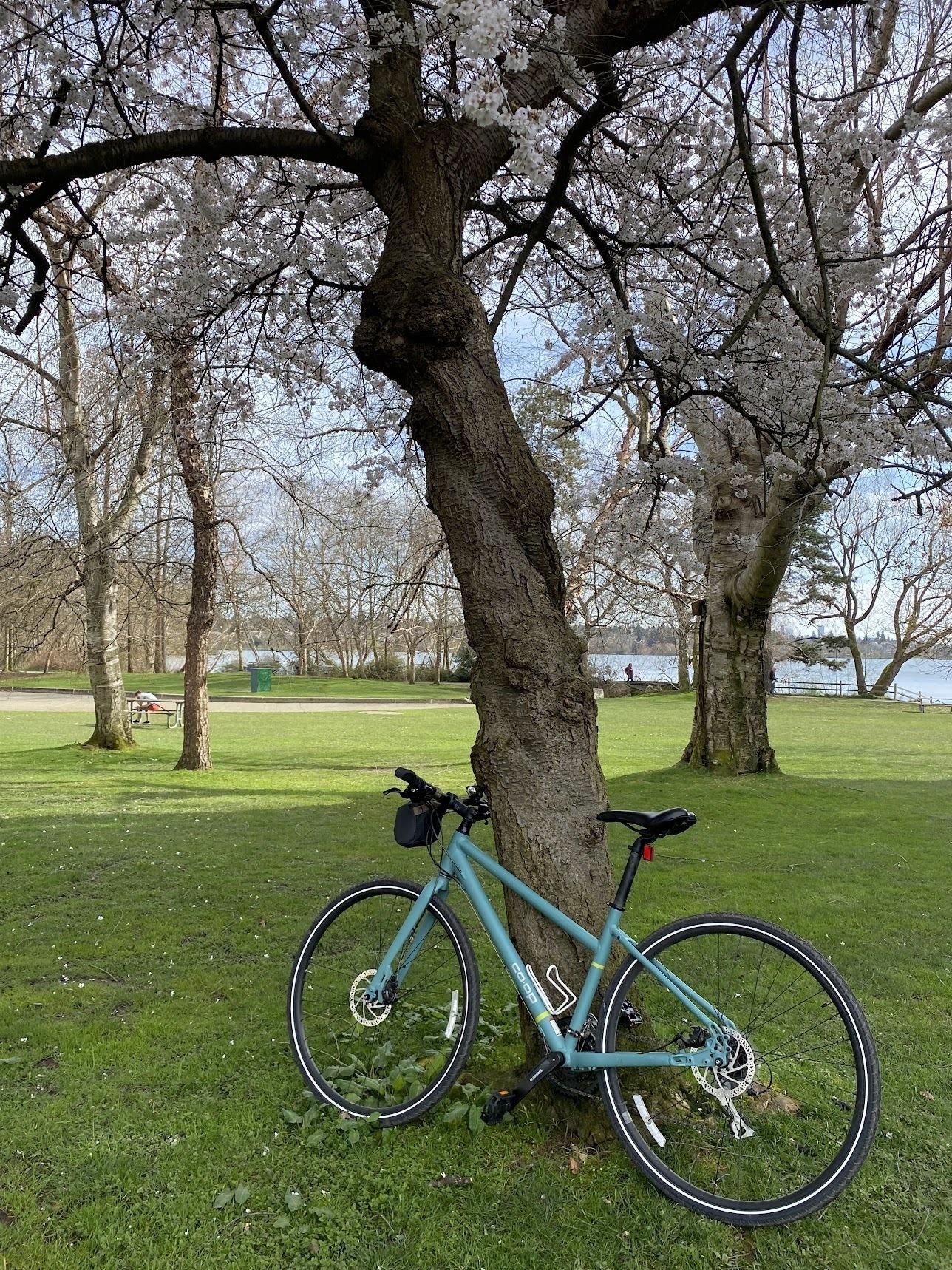 REI Co-op CTY 1.1 Teal