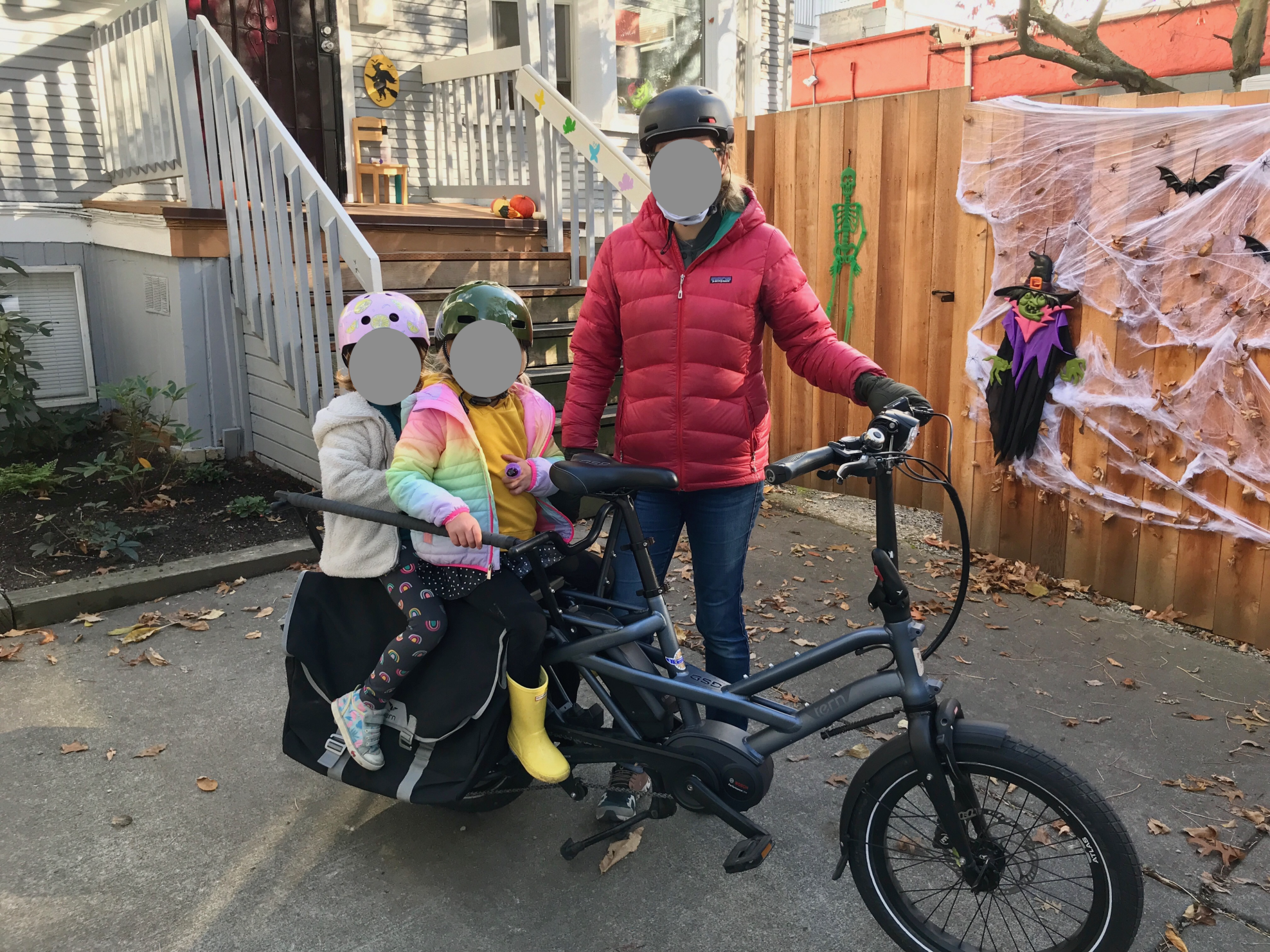 2019 Tern GSD Silver, gray or bare metal