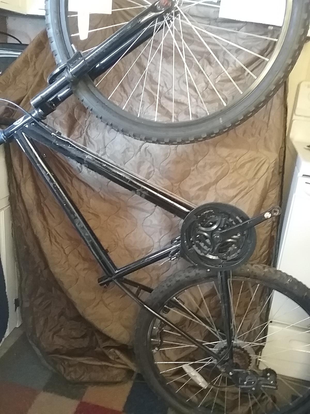 Roadmaster Mountain Green