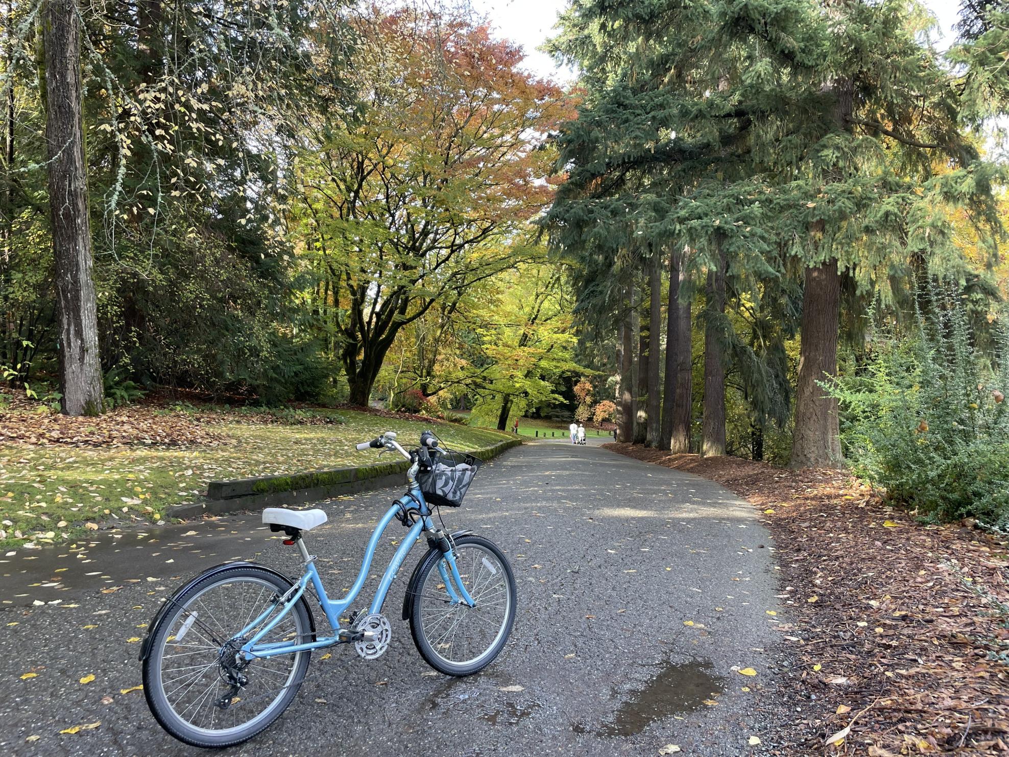 2011 Electra Townie 21D Blue