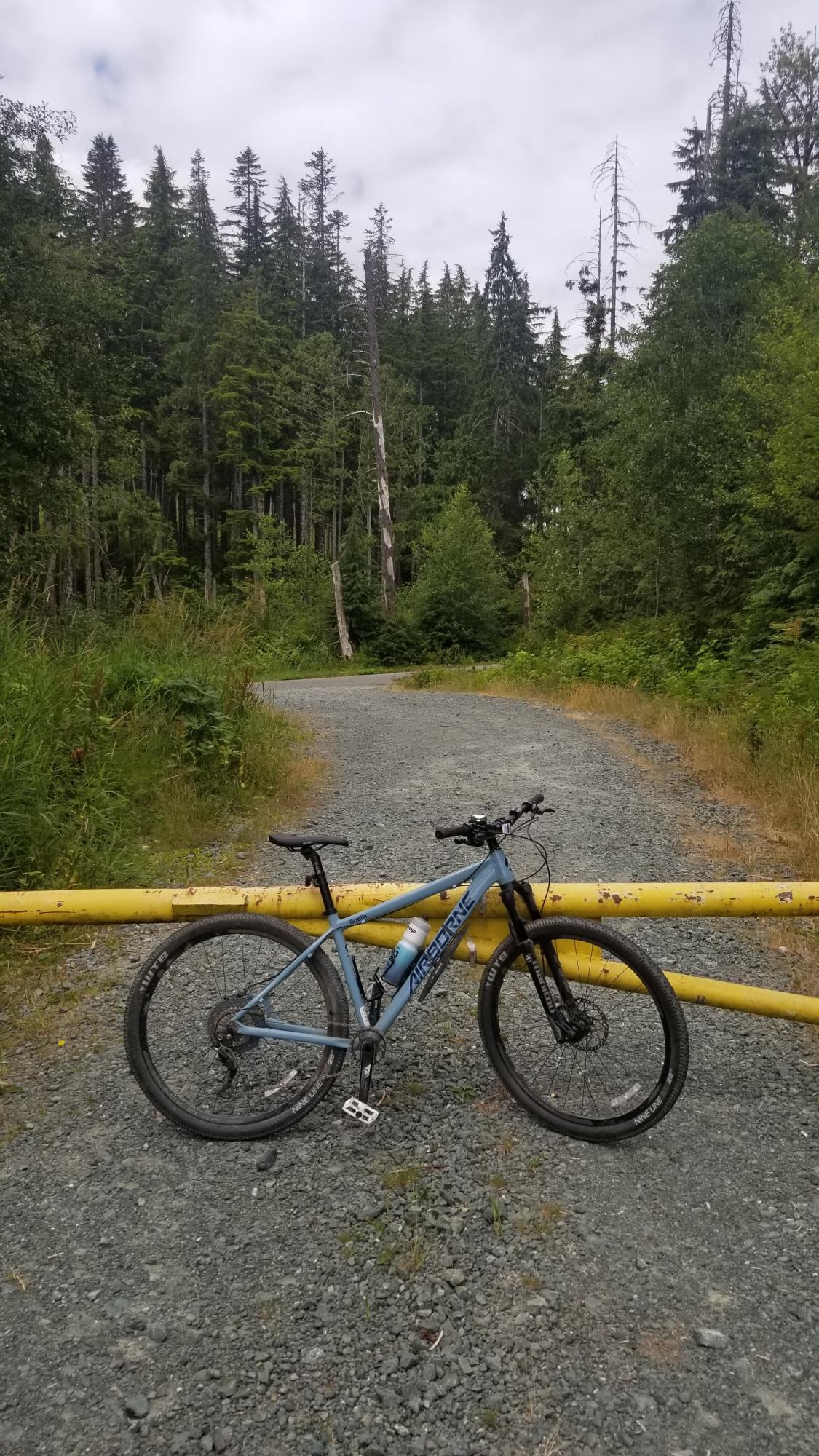 Airborne Goblin Blue