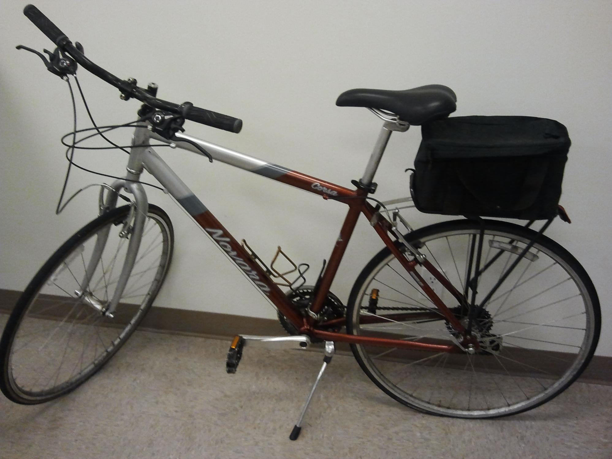 2013 Novara Corsa Brown and Silver or Gray