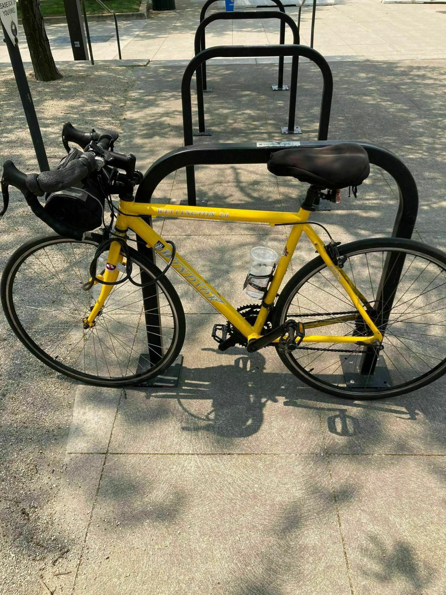 2018 Windsor Wellington Yellow or Gold