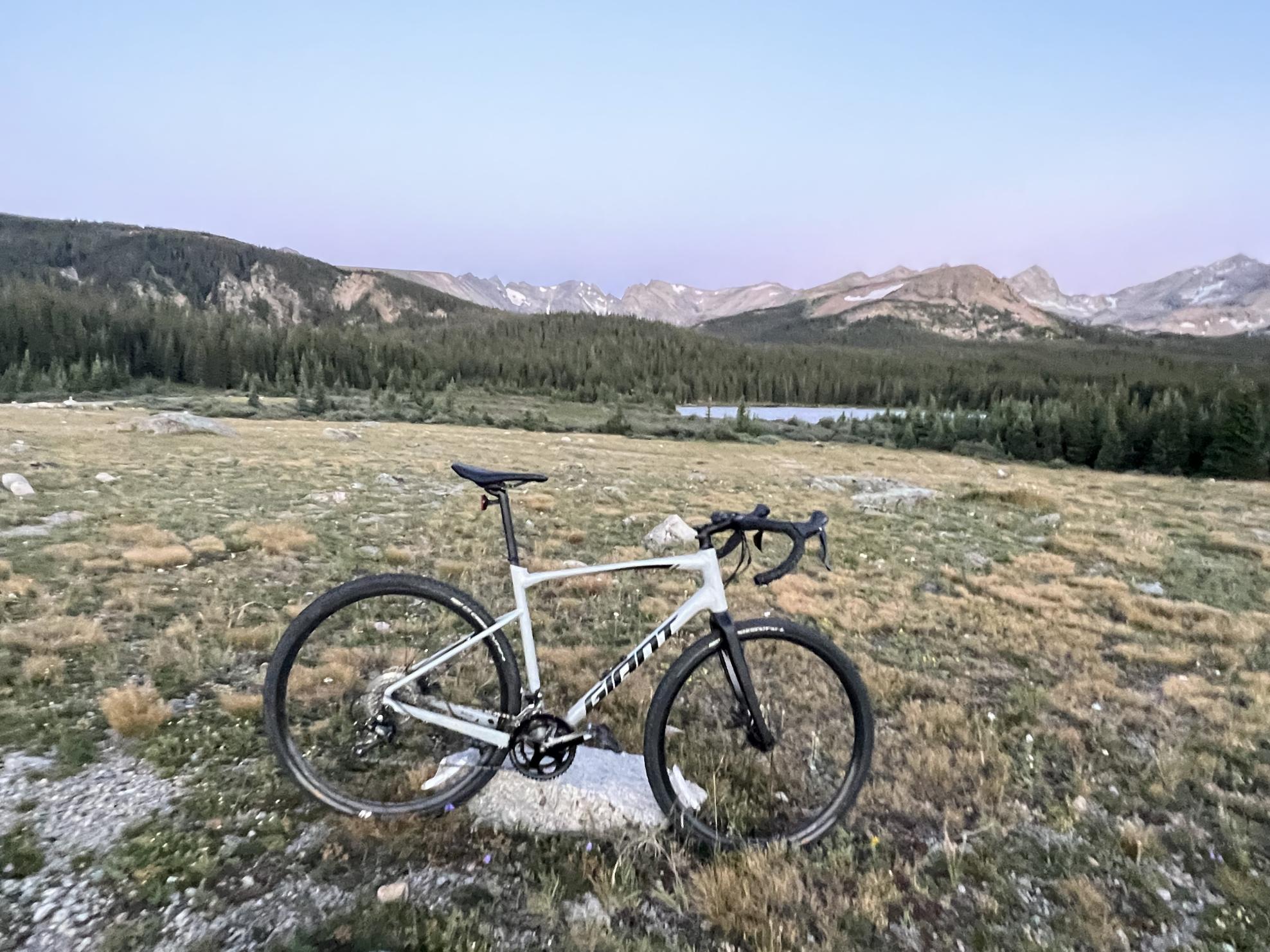 2021 Giant Revolt 2 Silver, gray or bare metal