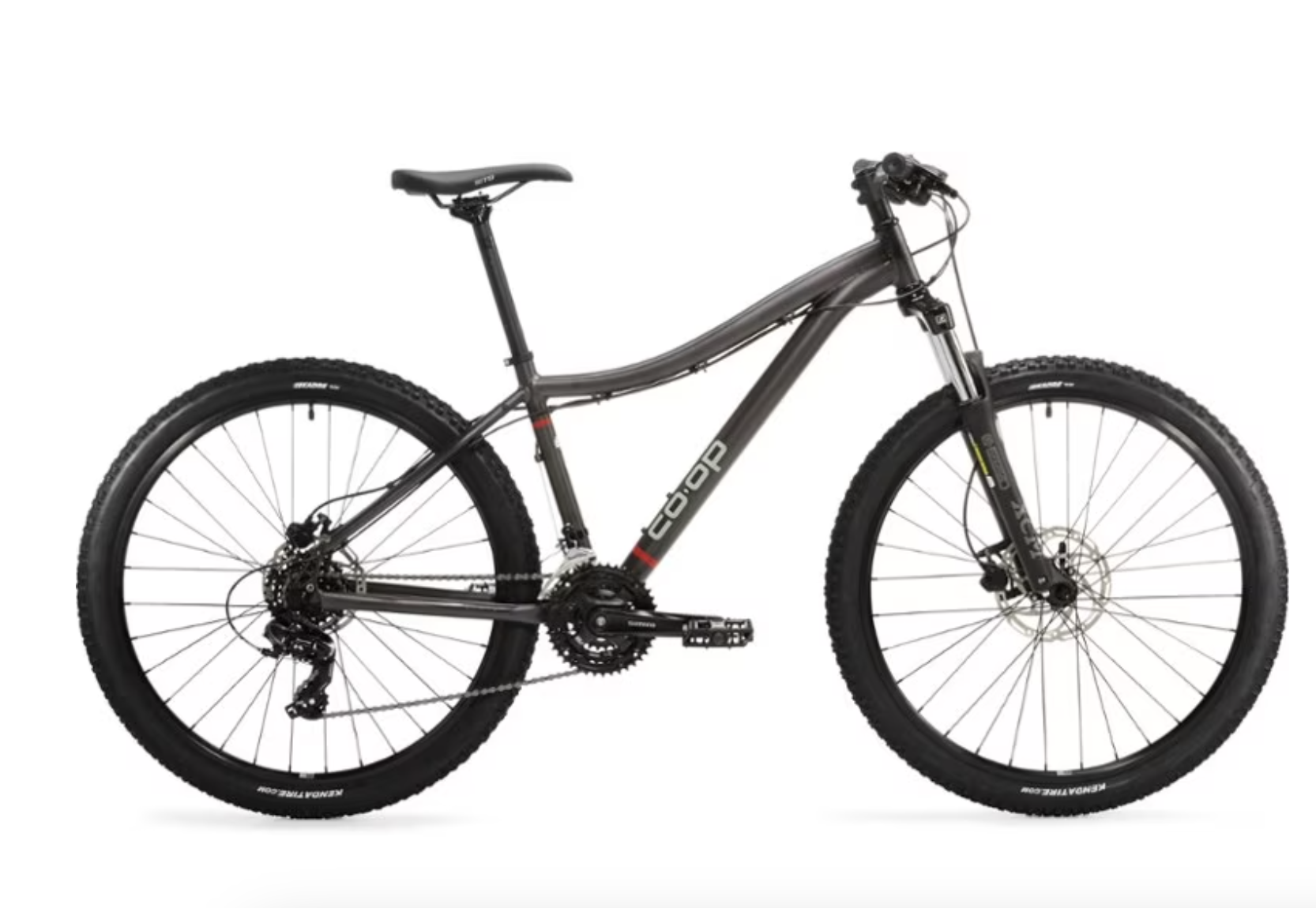 2024 REI Co-op DRT 1.1 Mountain Bike Silver, gray or bare metal