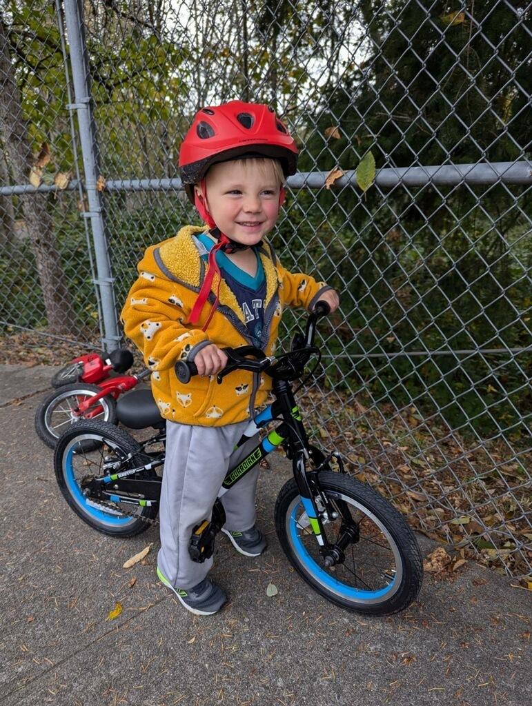 2024 Guardian 14 Inch Bike Black, Blue, and Green