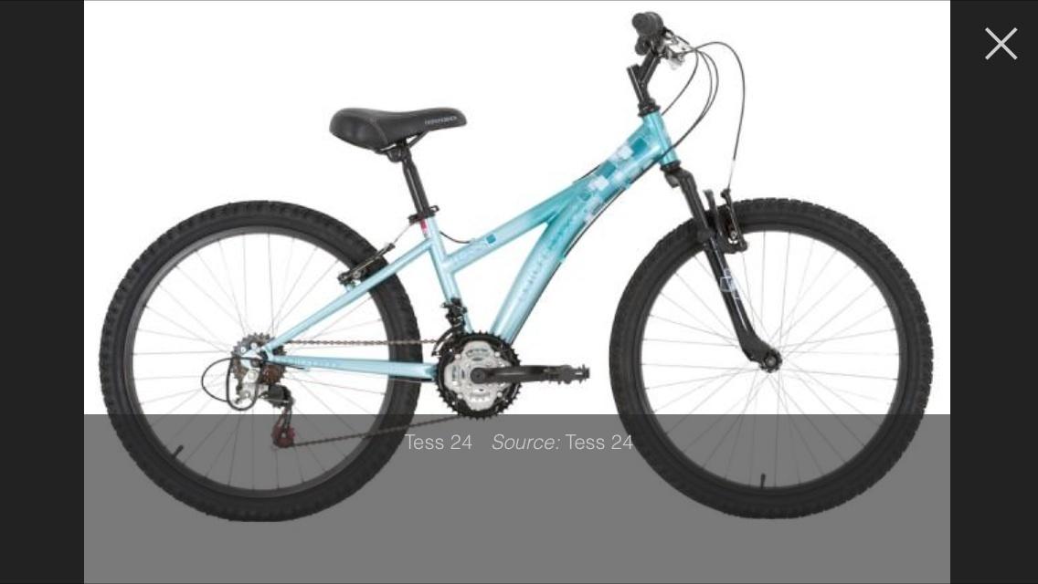 2012 Diamondback Tess 24  Teal