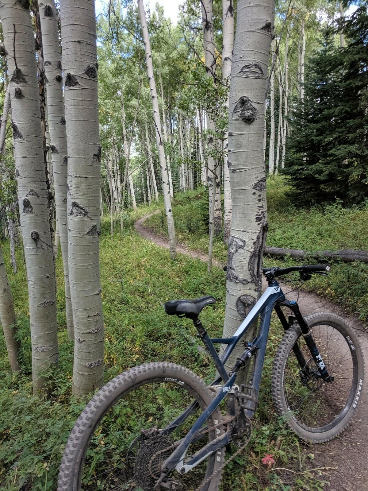 2019 YT Jeffsy 29 AL Base Blue and White