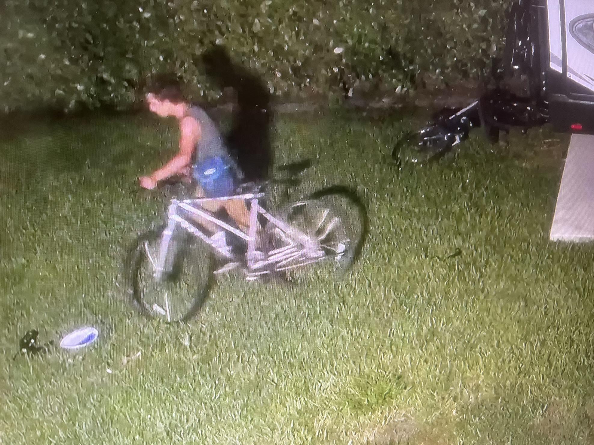 2022 Trek fx1 Silver, gray or bare metal