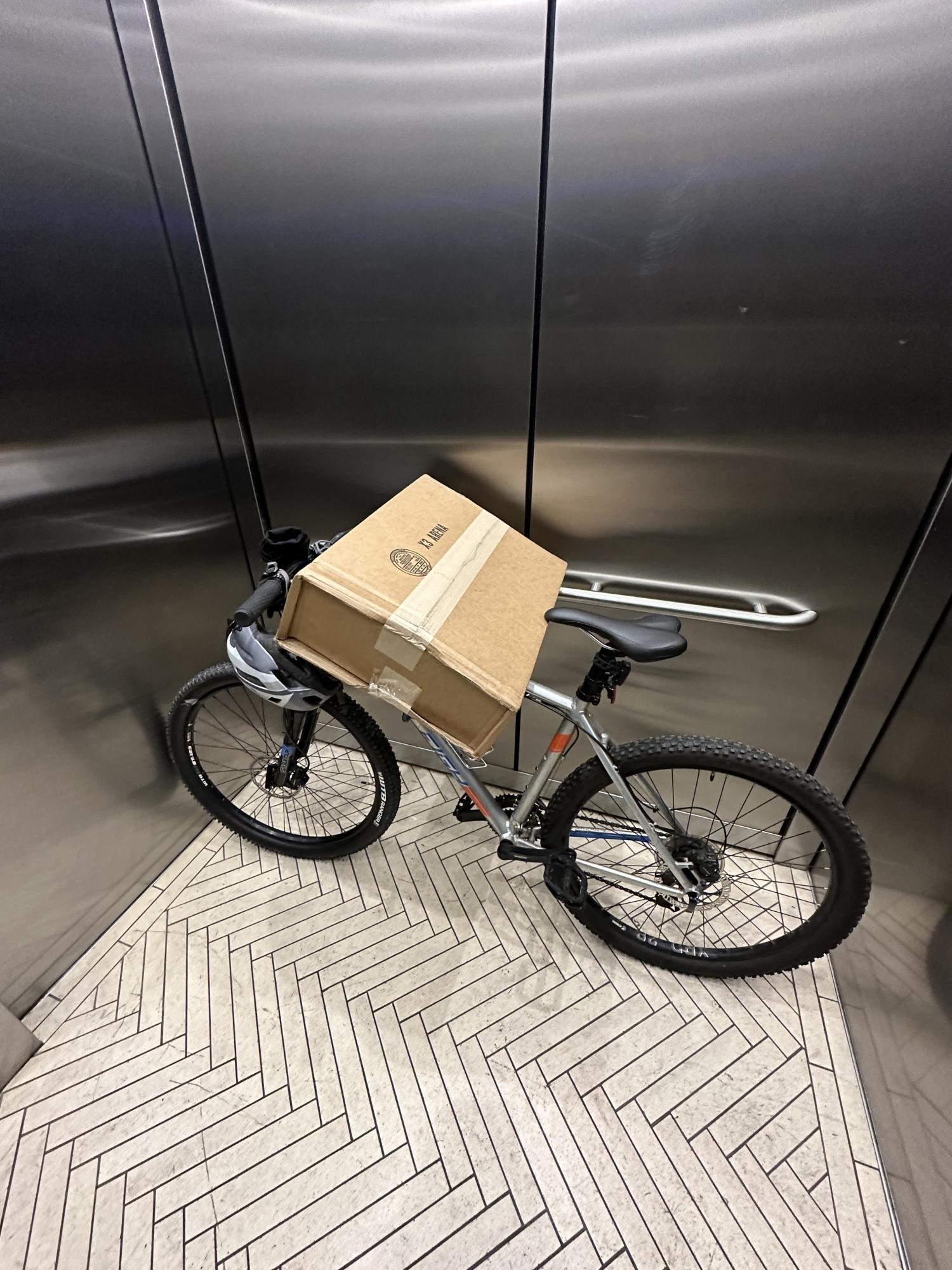 Raleigh Silver, gray or bare metal