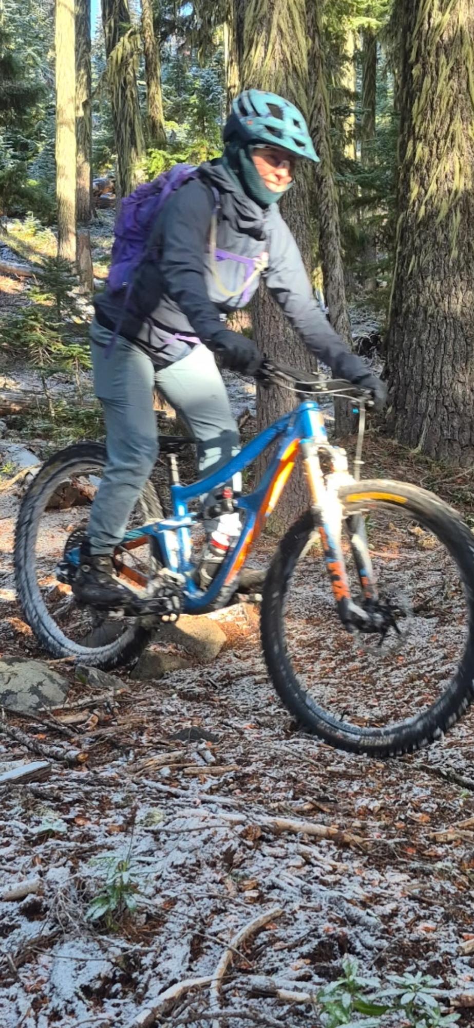 2019 Ibis ripmo Blue