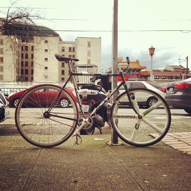 Bianchi Alloro  Black